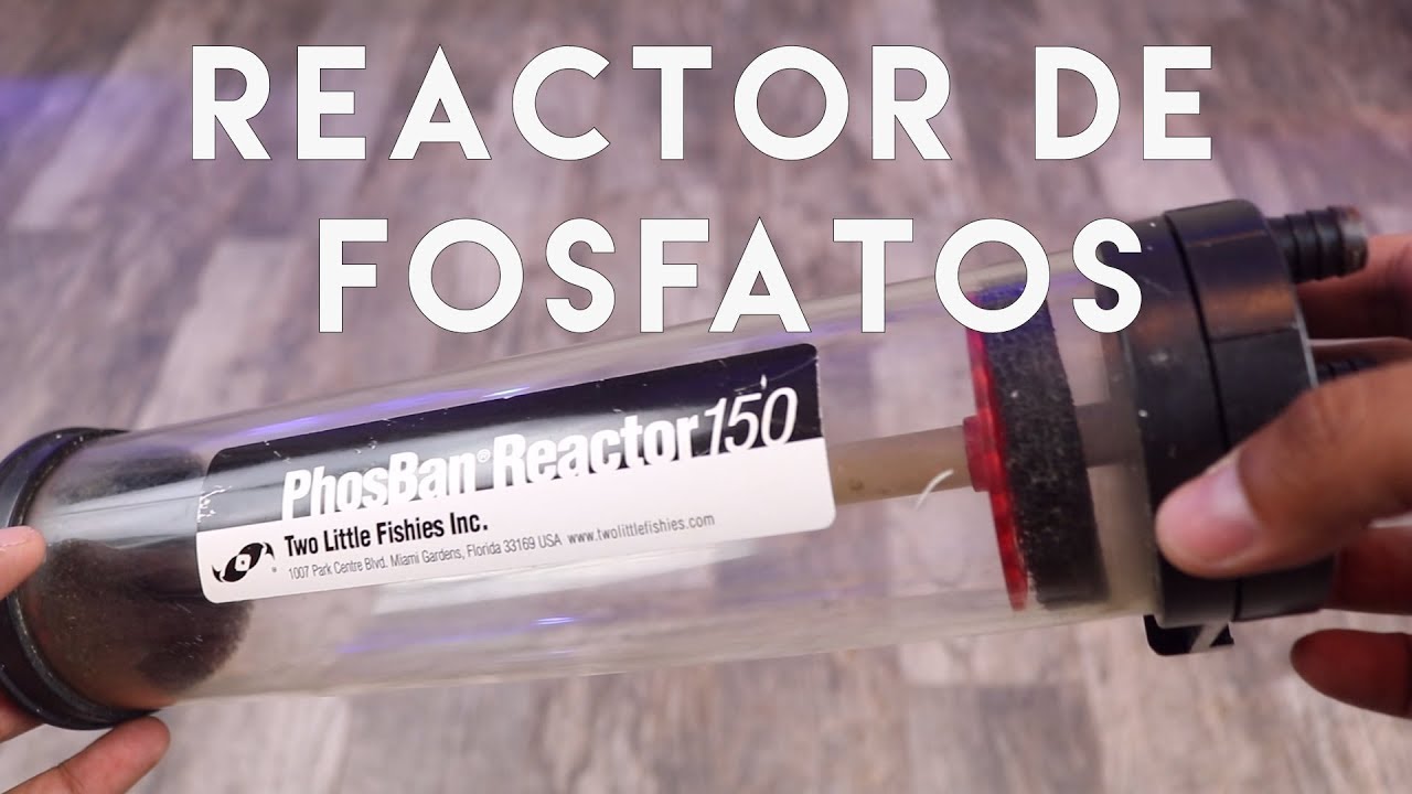 ¿Para qué sirve un reactor de fosfatos? ¿Cómo se instala?