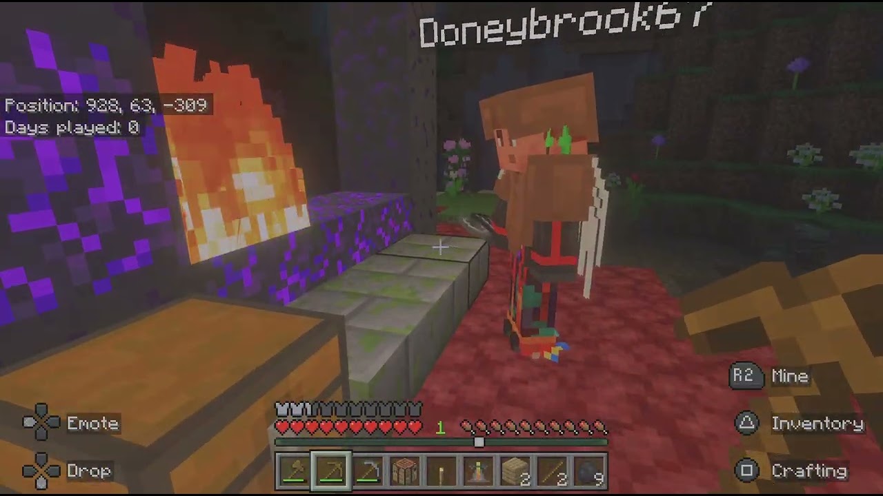 Minecraft Ep 1 With Rhyan