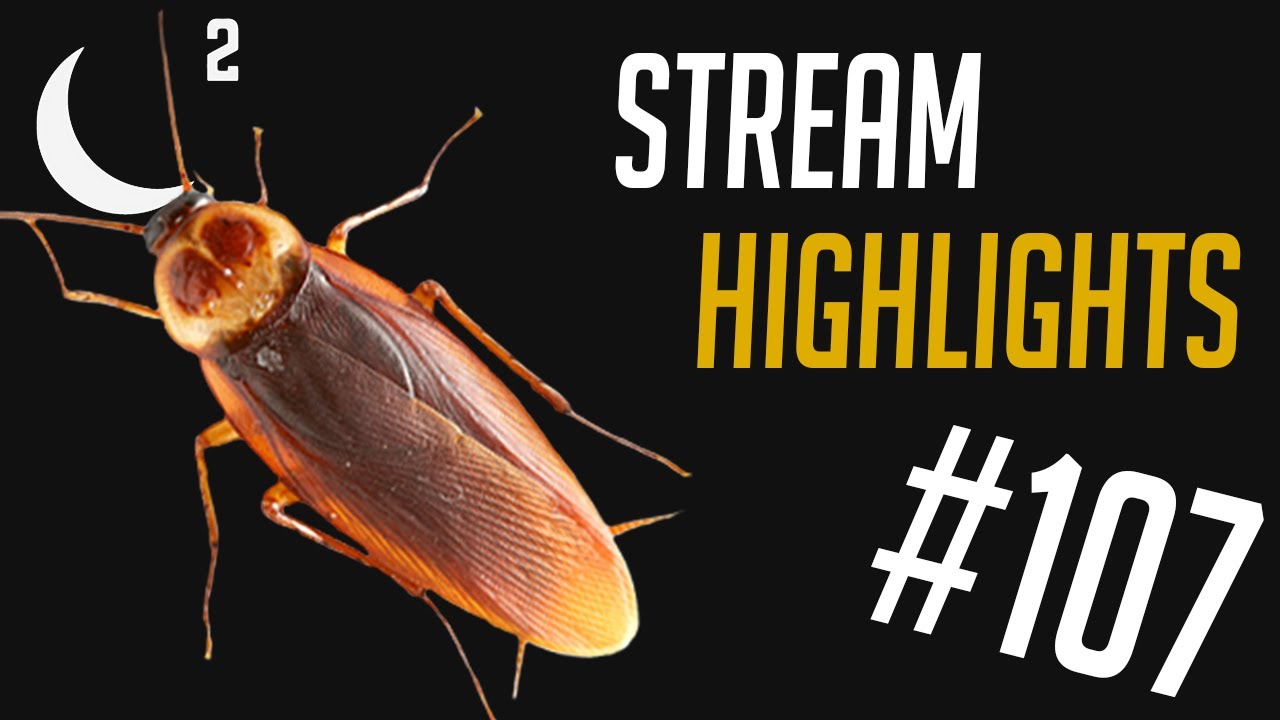 BUGSINMYSKINBUGSINMYSKINBUGSINMYSKINBUGSINMYSKINBUGSINMYSKINBUGSINMYSKINB | MoonMoon Highlights #107