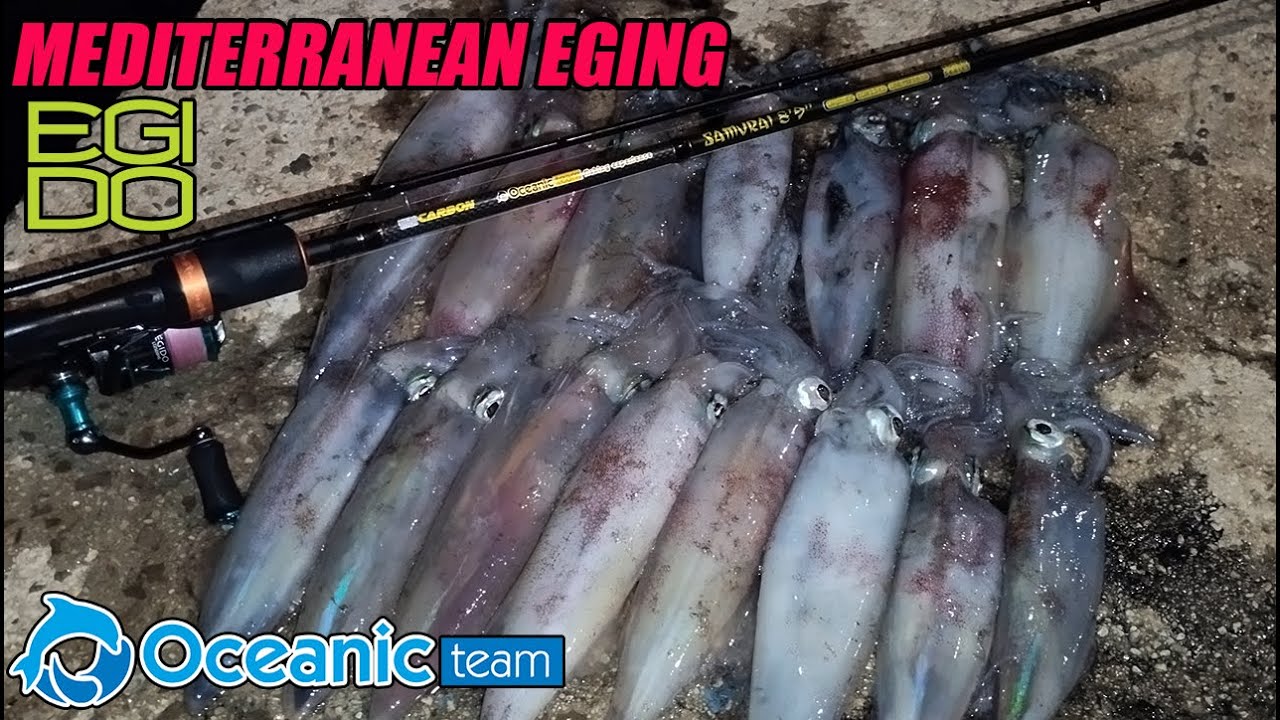 Eging with Egido squid jigs series