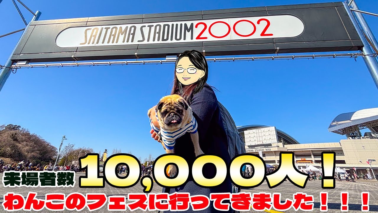 【レポート】来場者数10,000人！わんこのフェスに行ってきました！