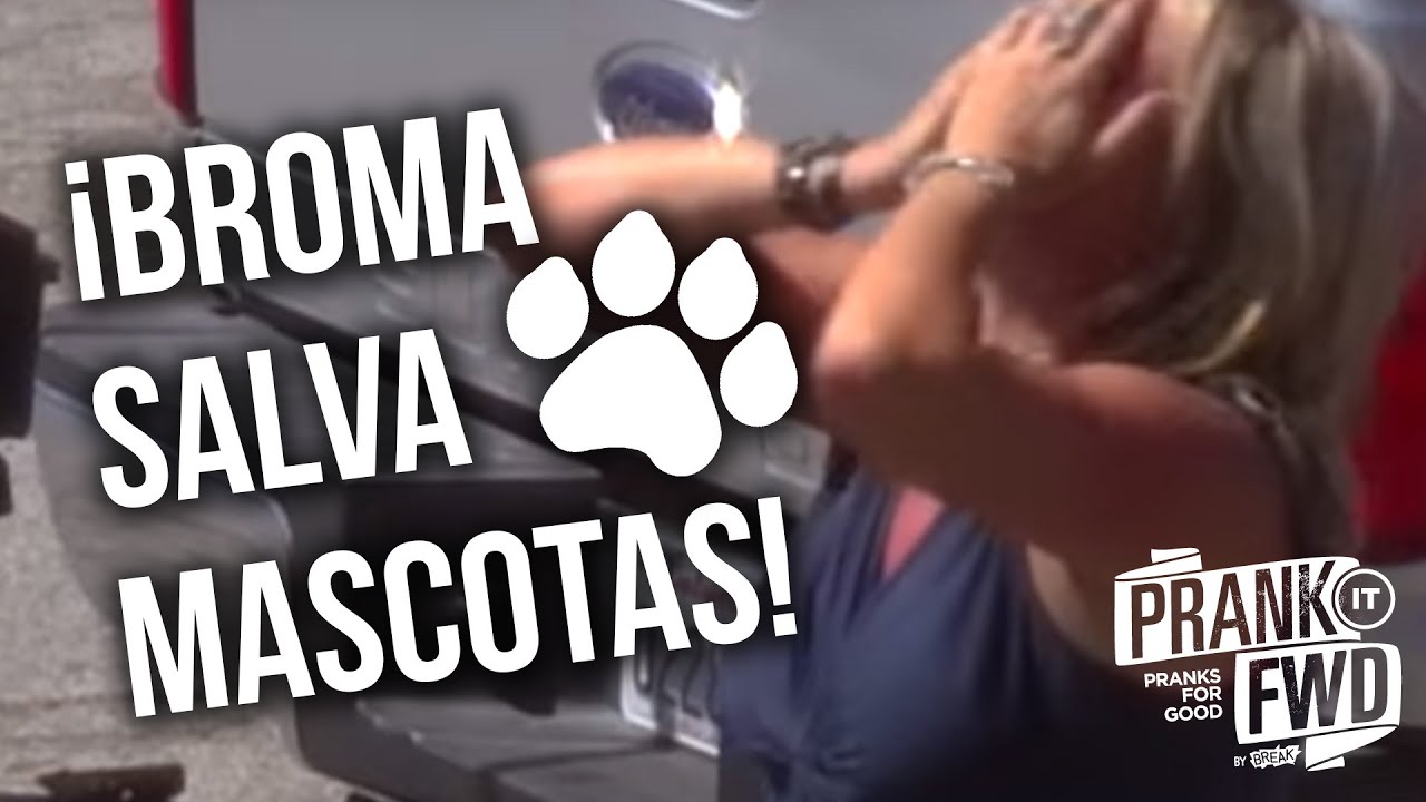 Toda Mascota Debe Ser Adoptada - Prank It FWD!