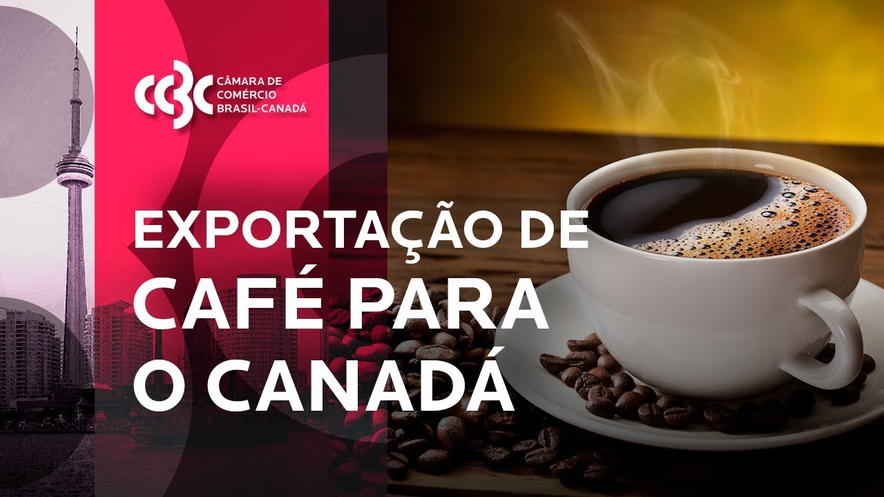 Exportação de café para o Canadá | Cases de Sucesso CCBC