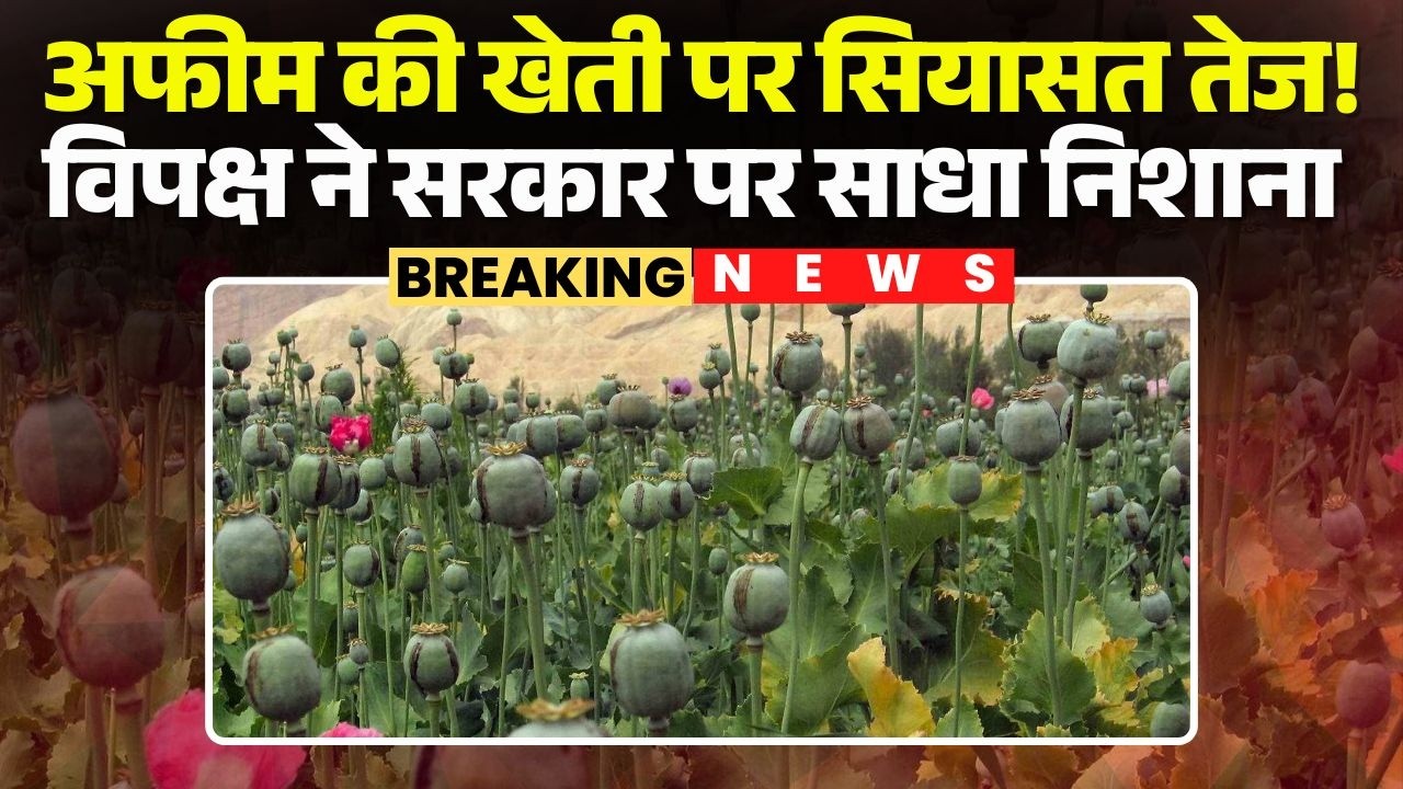 Politics intensifies over the CG Opium Farming Case! Opposition targets the government | TS Singh...
