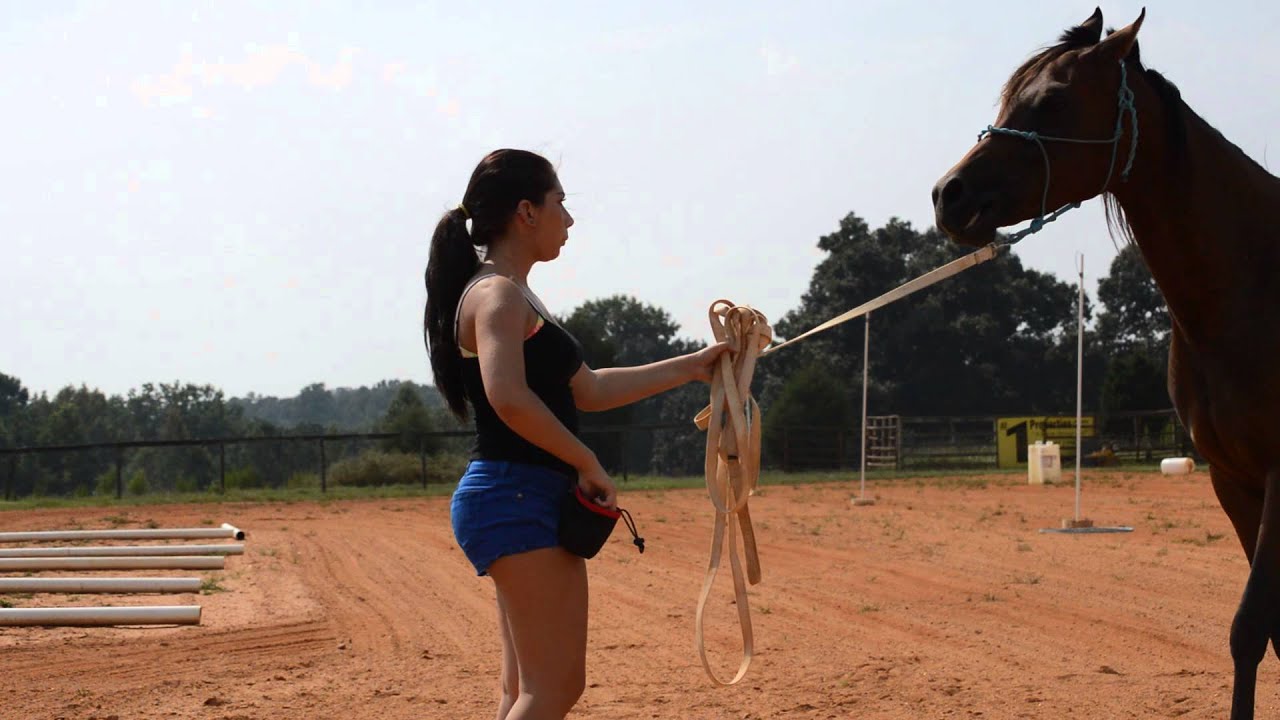 How to teach a horse to kiss