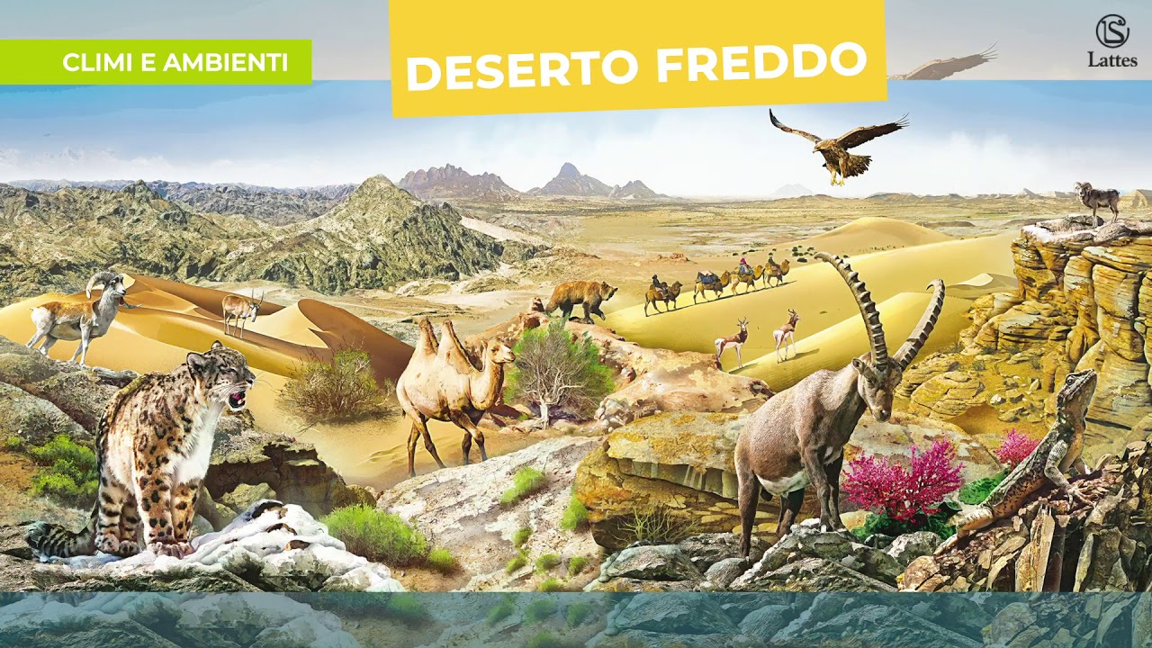 Climi e ambienti