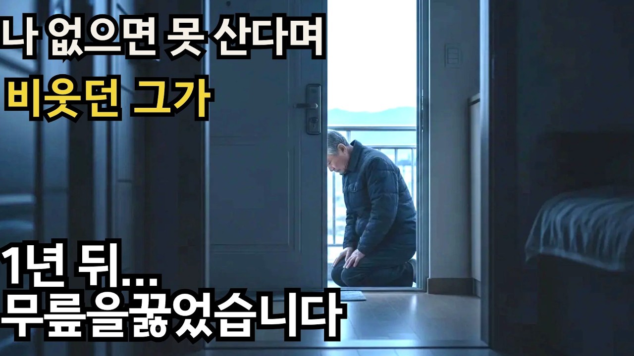 황혼이혼 1년 뒤… 저를 비웃던 남편이 무릎을 꿇은 진짜 이유