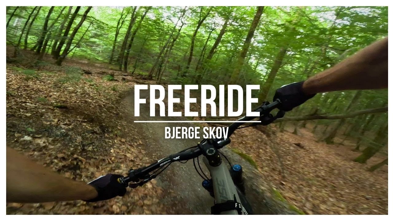 Bjerge Skov MTB Spor - Freeride | eMTB Spor Check [4K]