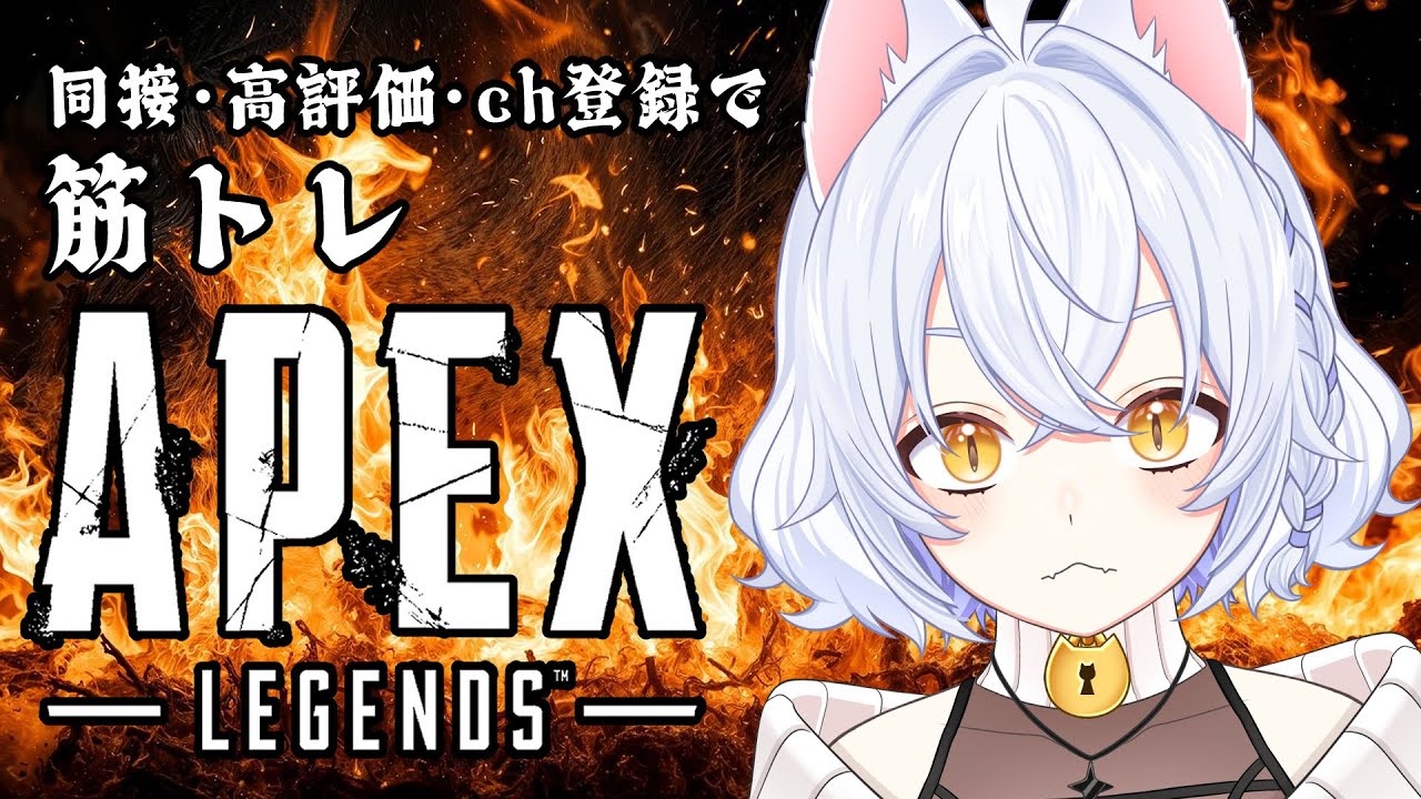 【#筋トレ #APEX】同接、挨拶、高評価で筋トレが増える！【鍵尾ベル/新人Vtuber】