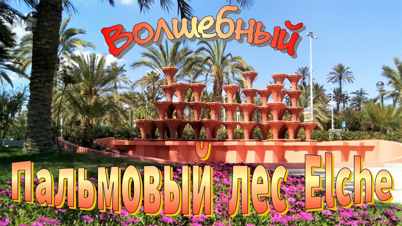 🌴 Palmeral M&aacute;gico Elche /  Magic Palm Forest Elche / Волшебный пальмовый лес Elche 🇪🇸 #travel #walk