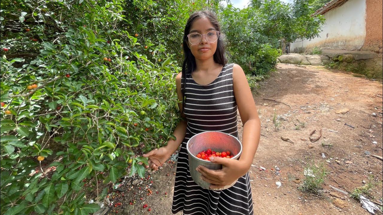 Mãe de 21 anos que vive no topo da serra mostra as ￼ plantações de frutas 🍇 @ElizeuSilvaTV 