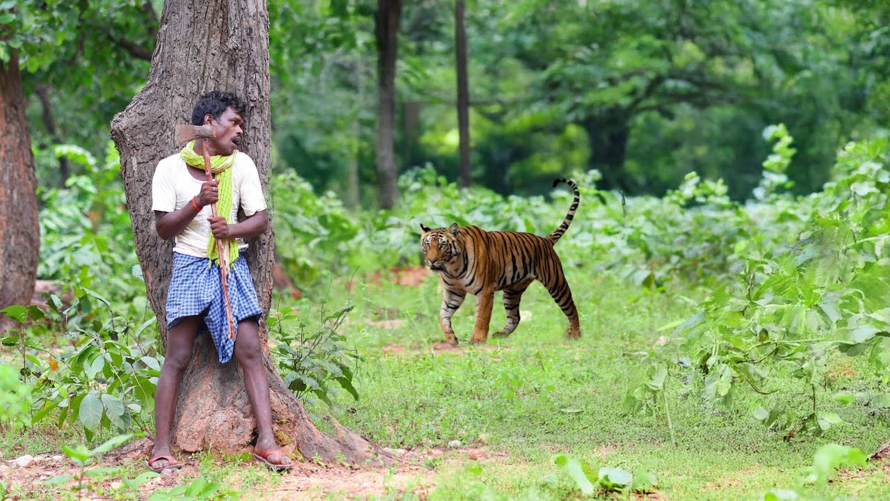 TIGER ATTACK MAN IN THE FOREST 🌲| TIGER ATTACK AWARENSESS VIDEO | FOREST LIFE STORIES