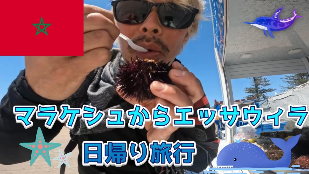 モロッコ　マラケシュからエッサウィラ日帰り旅行　VLOG