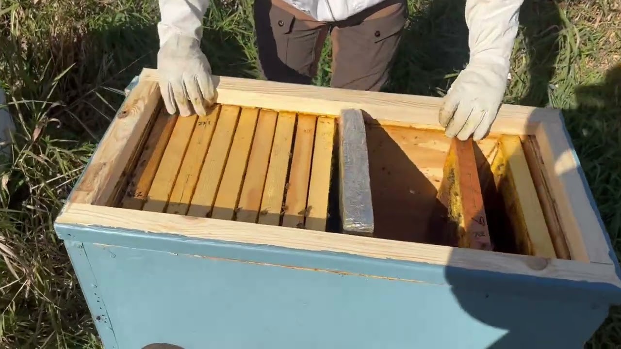 Insulating Layens Hive