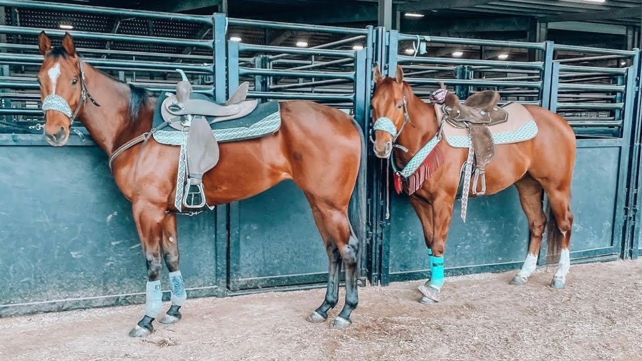HUSH MONEY WINS THE 1D, RUNNING A NEW HORSE, AND 2 PRO RODEOS!!