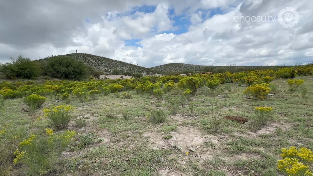 ENDESU.TV | 8: Restauración del pastizal y sus especies prioritarias