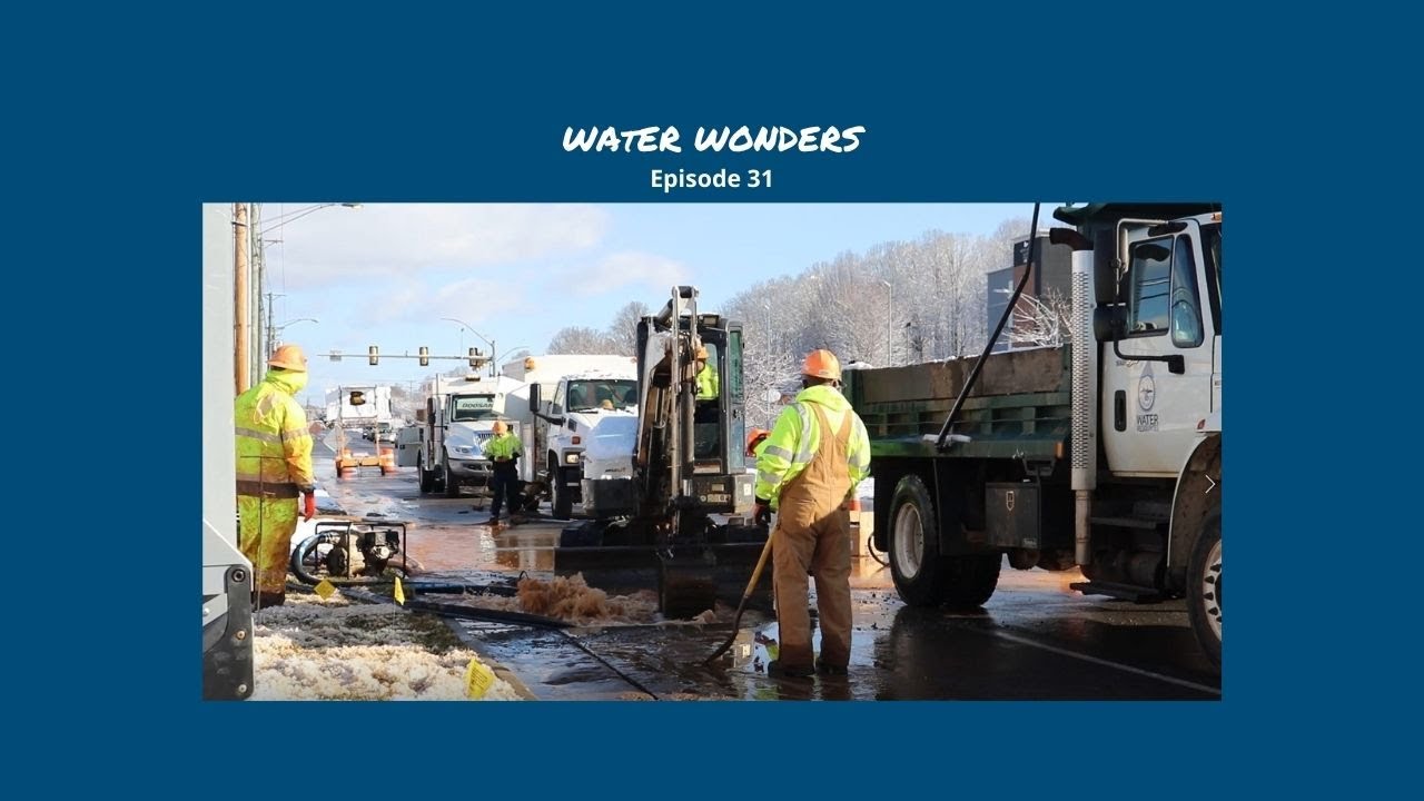 Catching a Break (Water Wonders, Ep. 31)