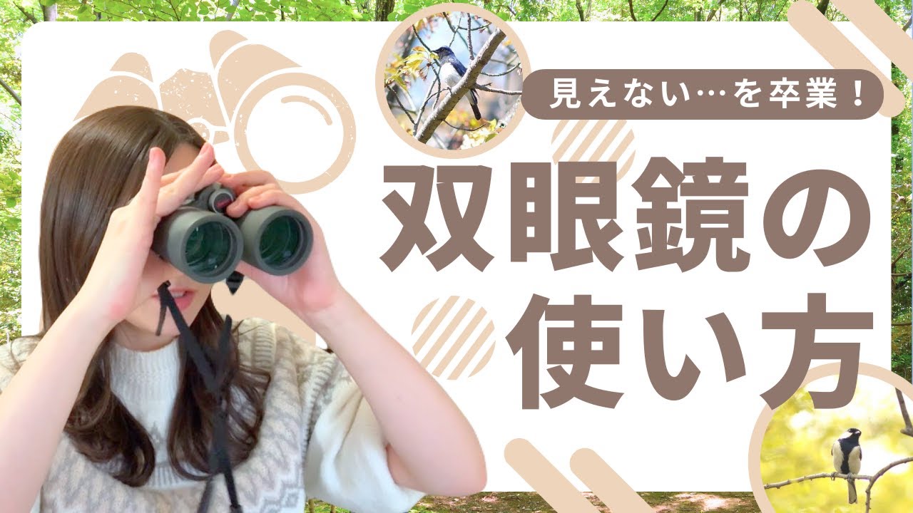 【野鳥観察ミニ講座】双眼鏡の使い方｜「見えない」を卒業！