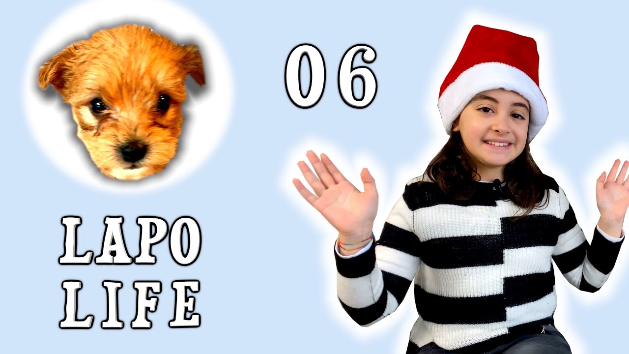 Lapo Life 06 - 🐶 con @SofiaDelBaldo