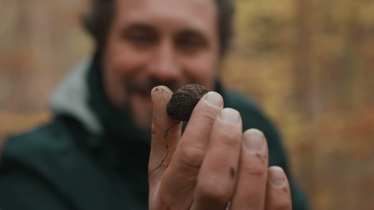 Trüffel suchen in Deutschland: Einblick in die Trüffelsuche im Allgäu mit Simon von Gourmet & Meer