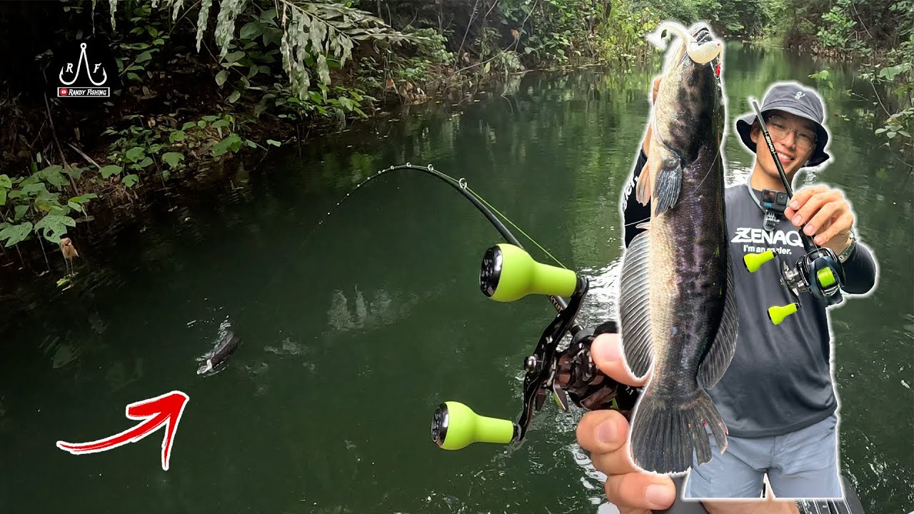 КАСТИНГ ТОМАН БАТАНГ АИ [ДЕНЬ 3] | ЭП127