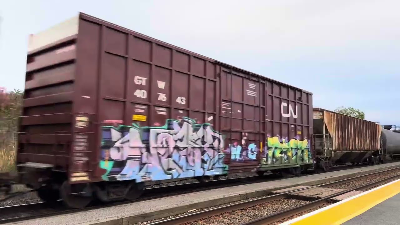 Railfanning the Kingston sub CN 305 westbound 