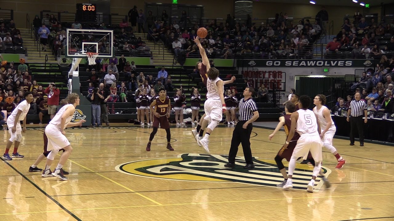 DIMOND LYNX vs WASILLA WARRIORS!! ~ 2017 CHAMPIONSHIP GAME!!