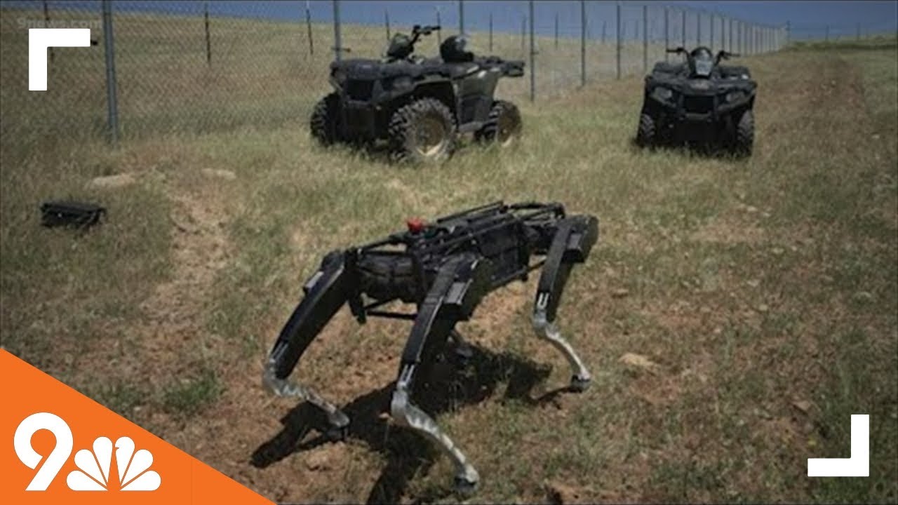 In Other News: Robot dogs could patrol the US-Mexico border, world's heaviest strawberry and Heinz m