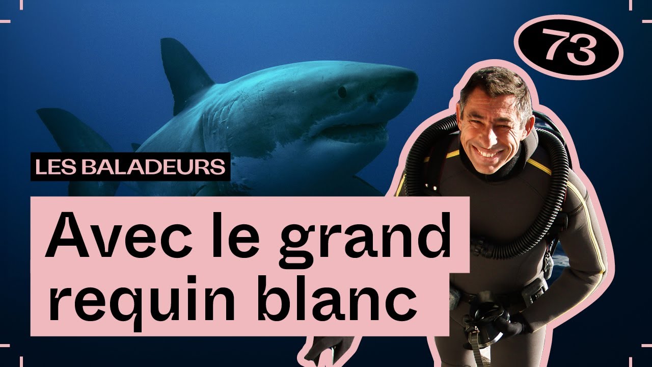 Une minute d’éternité, avec François Sarano — Les Baladeurs podcast #73