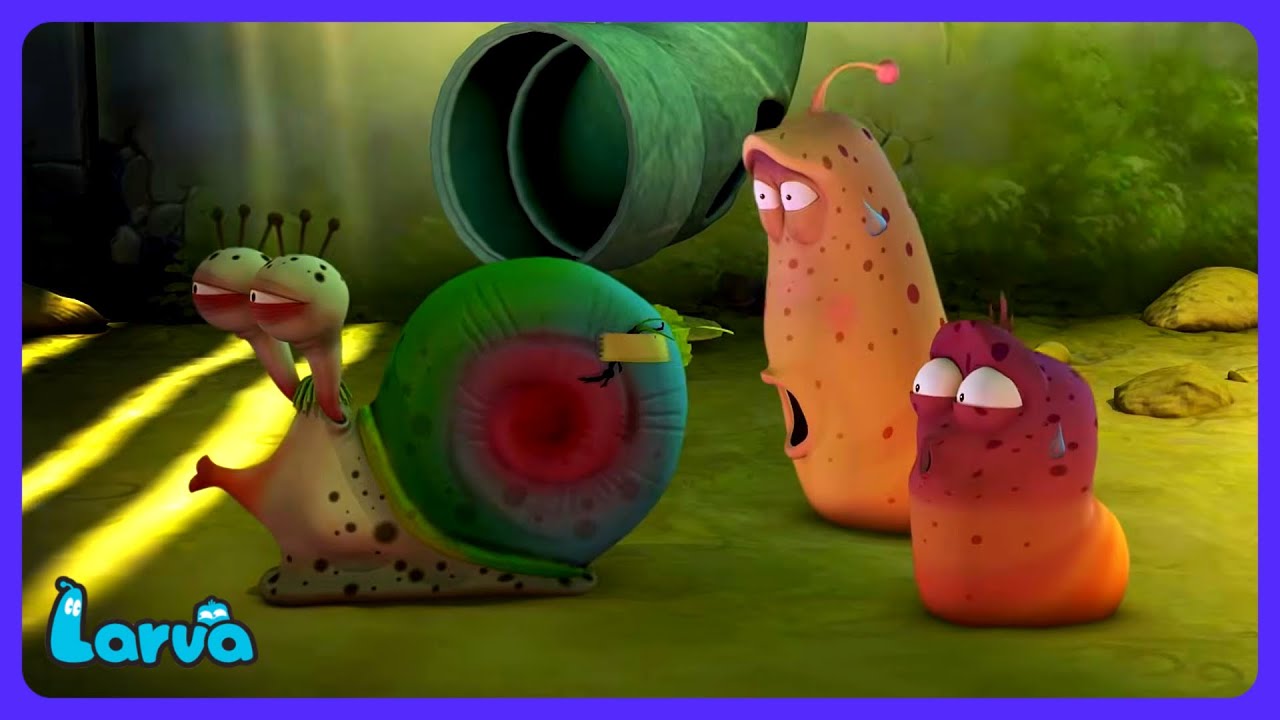 Larva - Závod se šnekem | WildBrain Děti | WildBrain Děti