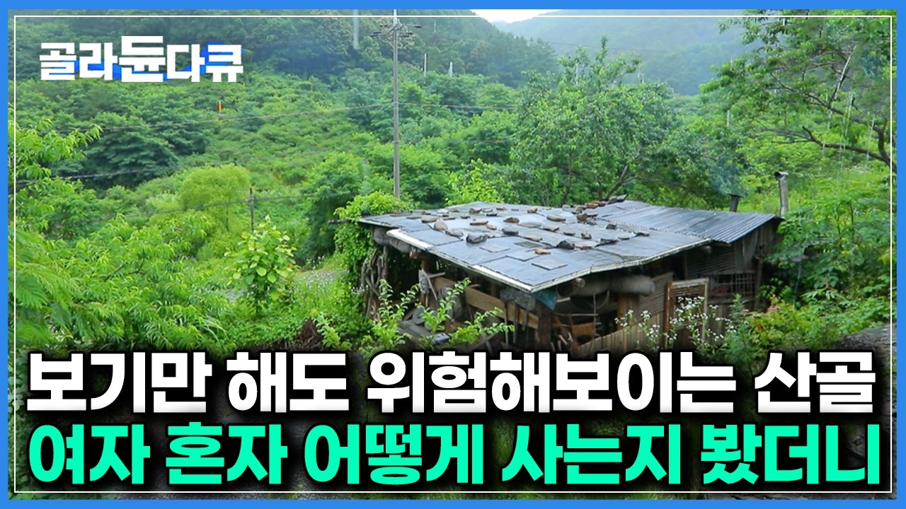 방송 출연 절대 안하려 했는데 &lsquo;한국기행&rsquo;이라 해봤다｜60년 된 산골집 고쳐 잘 먹고 잘 사는 여자｜한국기행｜#골라듄다큐