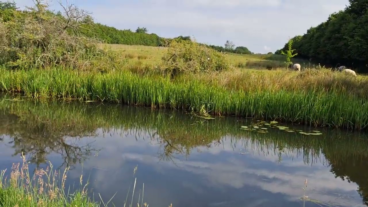 Burnsall rediscovered on the Rufford branch of Leeds-Liverpool Canal?!