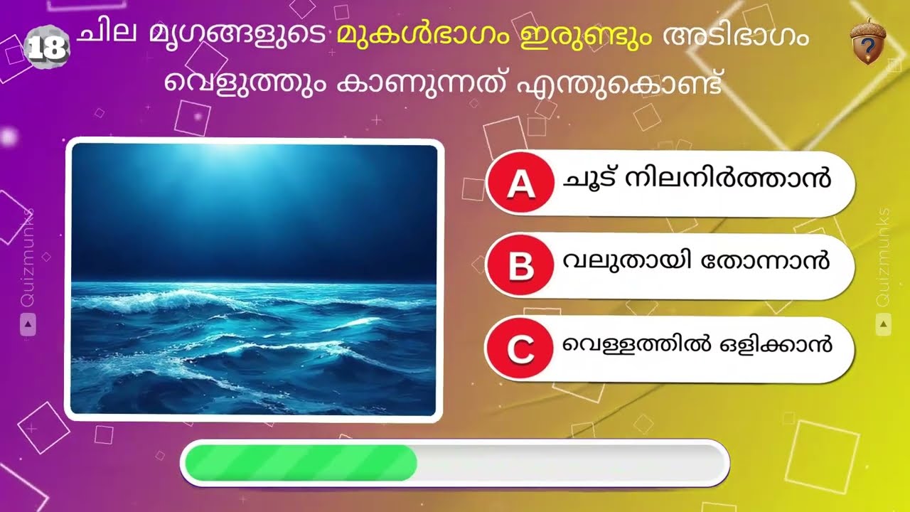 Top 40+ Animals Quiz on Amazing Animal Camouflage in Malayalam | Trivia GK General Knowledge