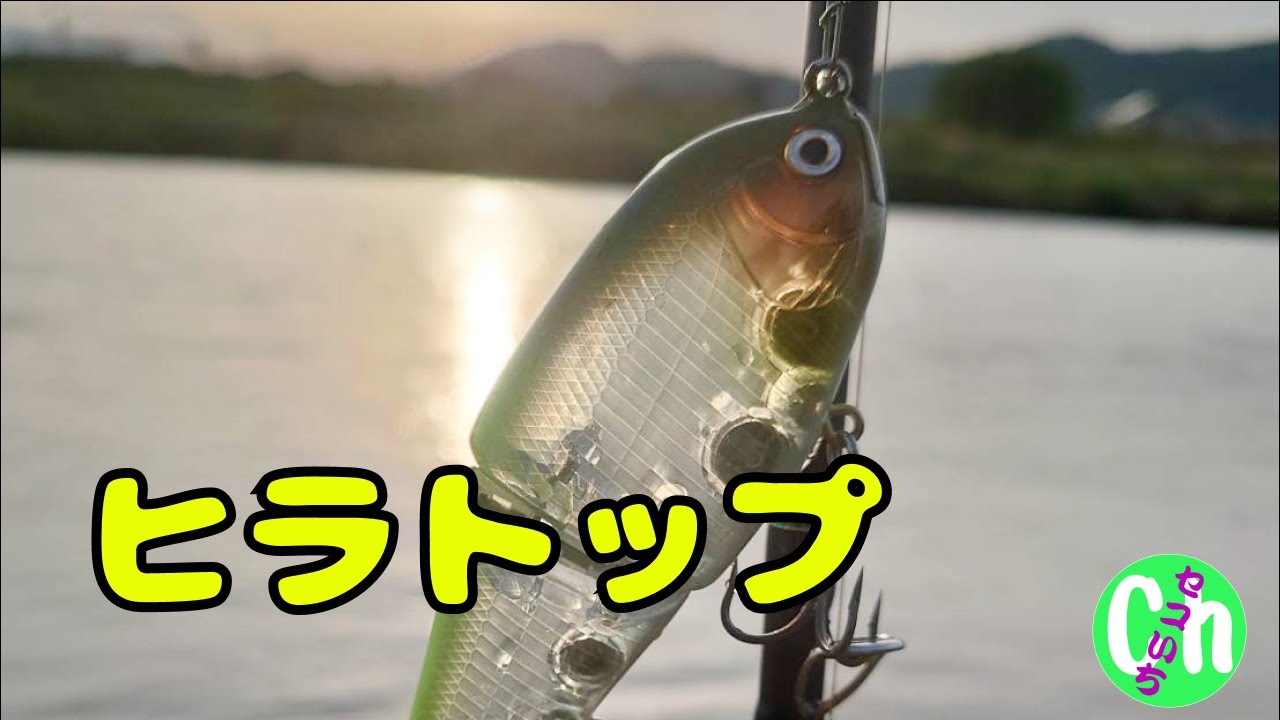 【ビッグベイト】ヒラトップを使ったらバイトが多発した‼️【5月】【6月】【雨】【増水】【にごり】【川バス】【川スモール】【Black bass】【セコいち研究室＃14】