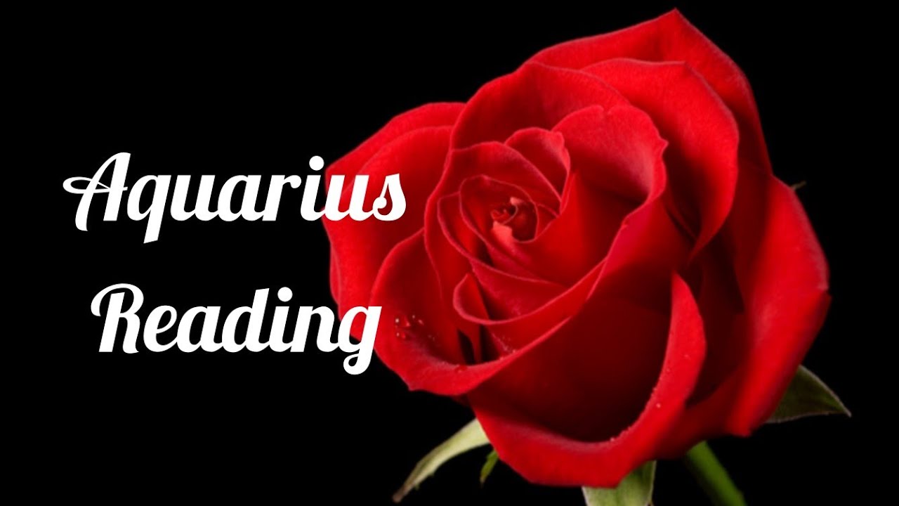 AQUARIUS READING 2019 (THEY WANT TO TALK BUT DON'T KNOW HOW TO APPROACH YOU)
