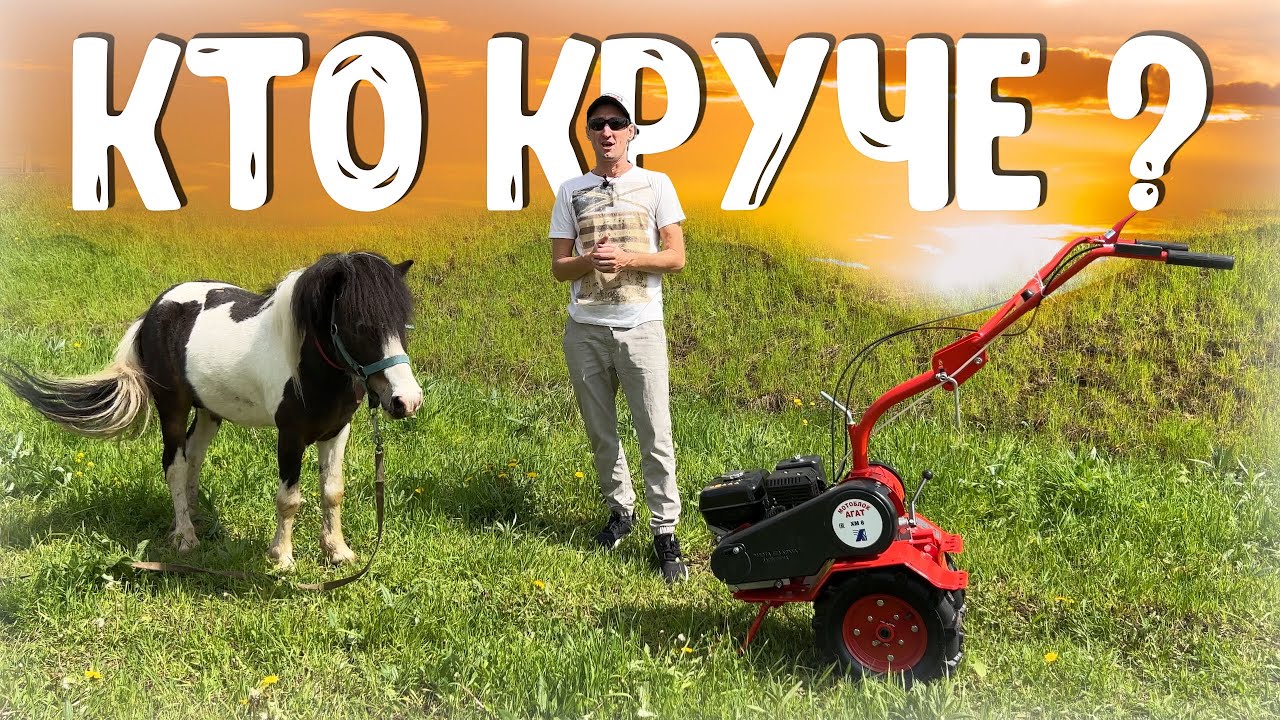 После такого теста 
