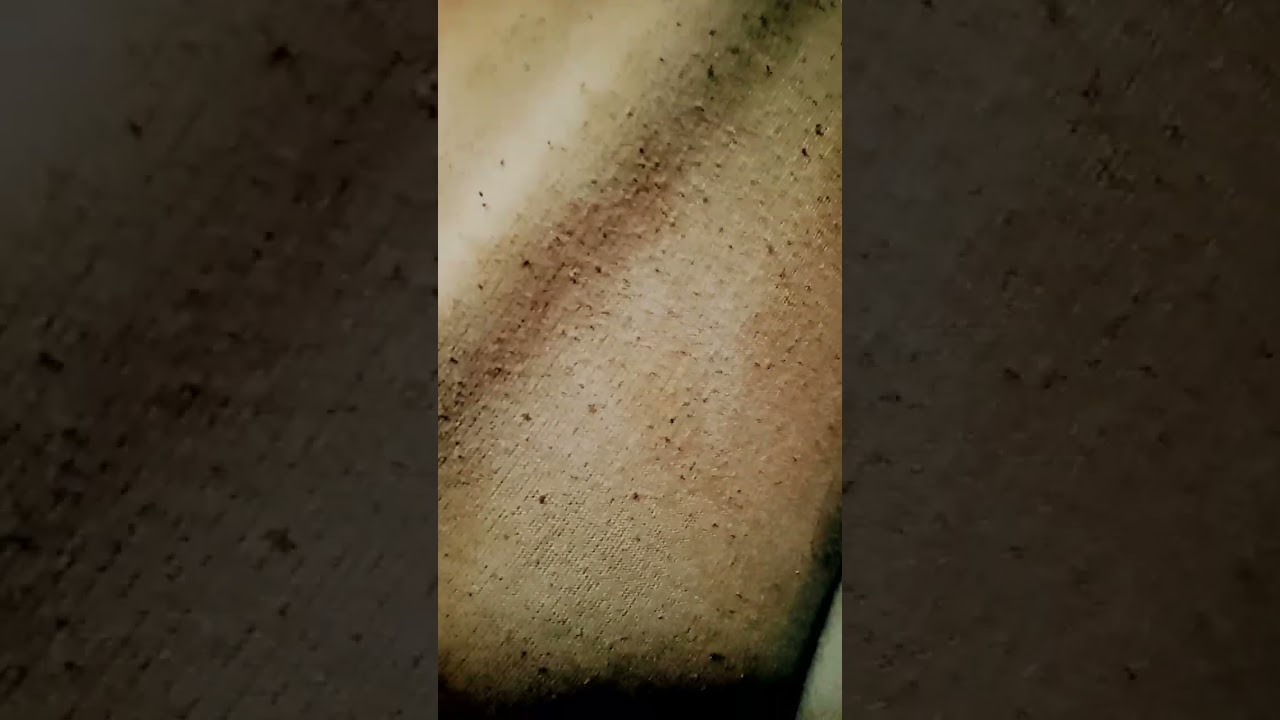 Redmi 10A zoom test