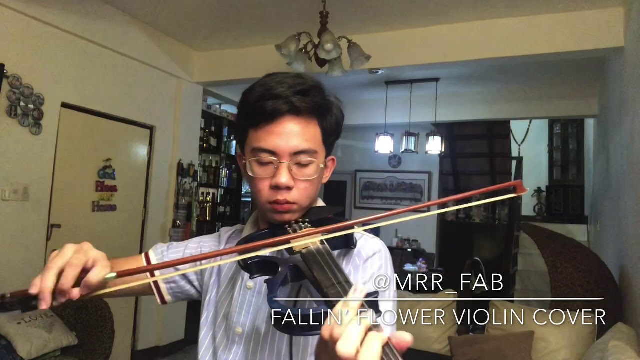 SEVENTEEN-  舞い落ちる花びら (Fallin' Flower) Violin Cover ✨