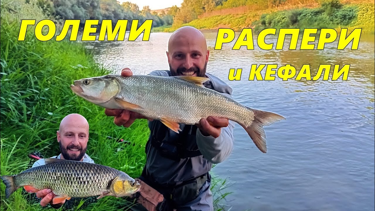 РАСПЕРИ и КЕФАЛИ на СПИНИНГ - СУПЕР РИБОЛОВ на р.ЯНТРА - НЕВЕРОЯТНА слука с ХУБАВИ РИБИ