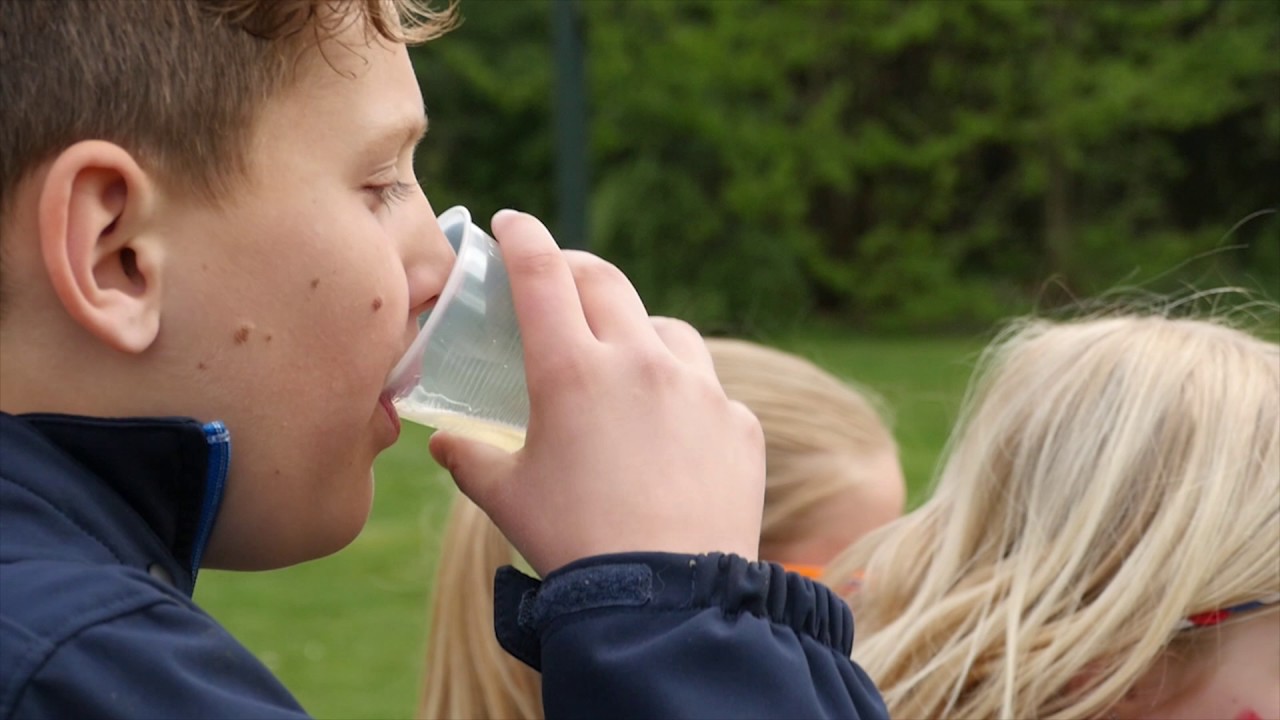 Koningsspelen 2017  IKC Den Dijk