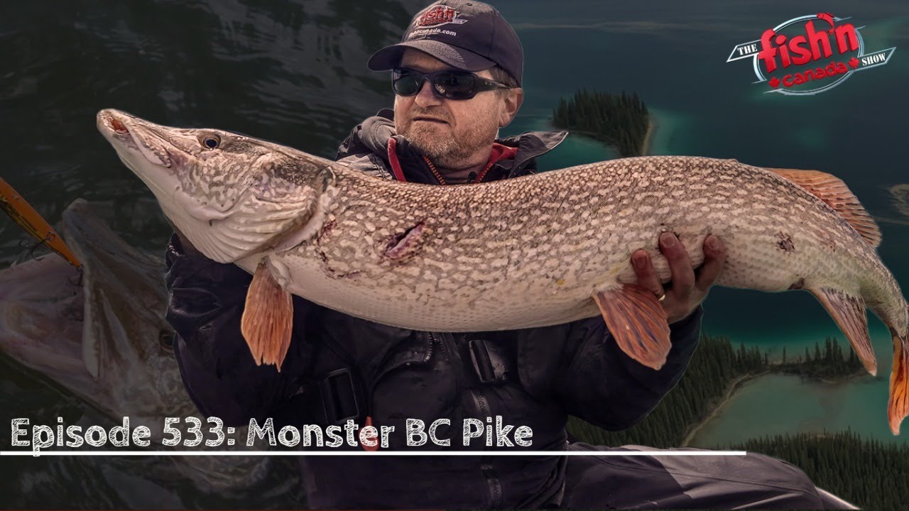 Monster British Columbia Pike