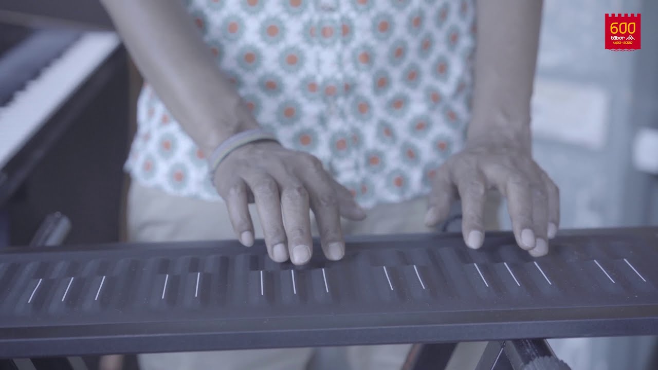 Mohamed Araki Seaboard, Somalia