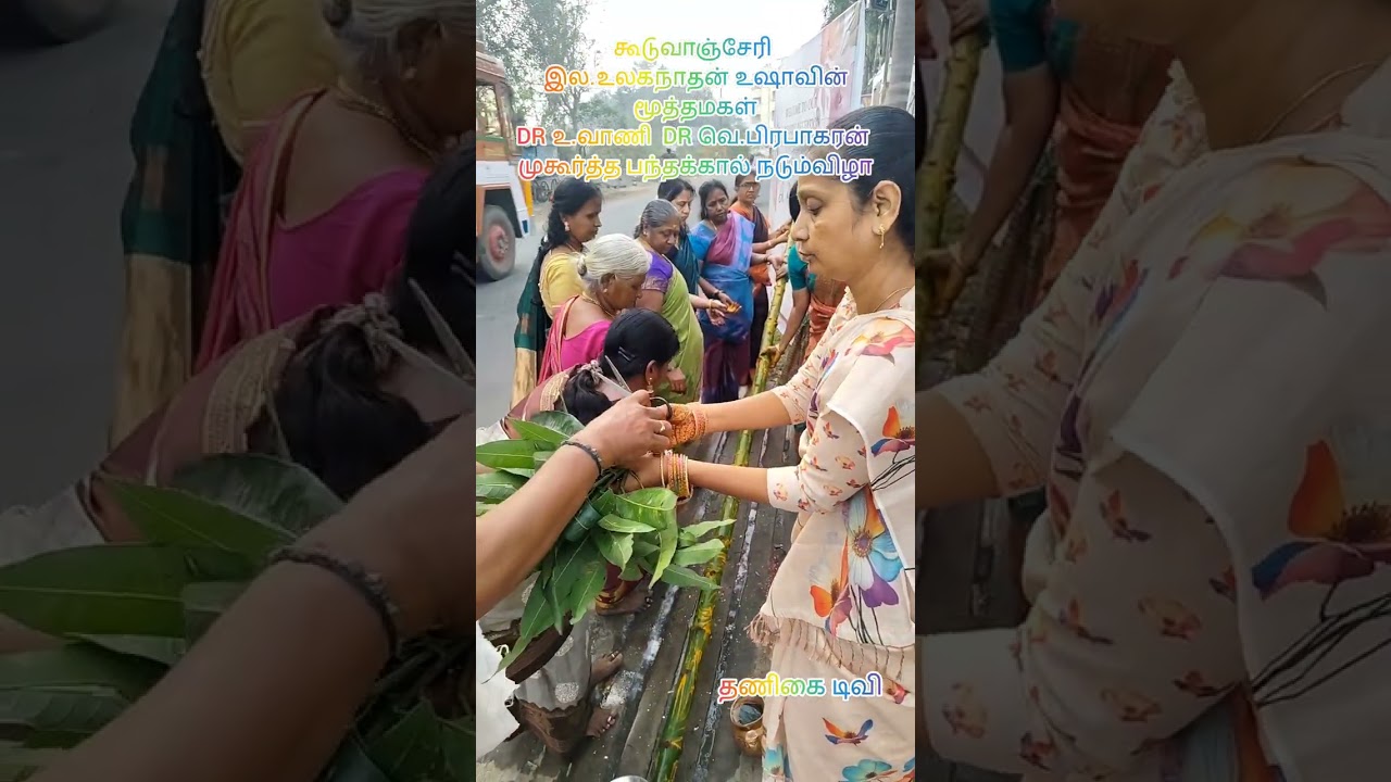 கூடுவாஞ்சேரி உலகநாதன் உஷாவின் மூத்தமகள் DR உ.வாணி  DR வெ.பிரபாகரன் முகூர்த்த பந்தக்கால் நடும்விழா