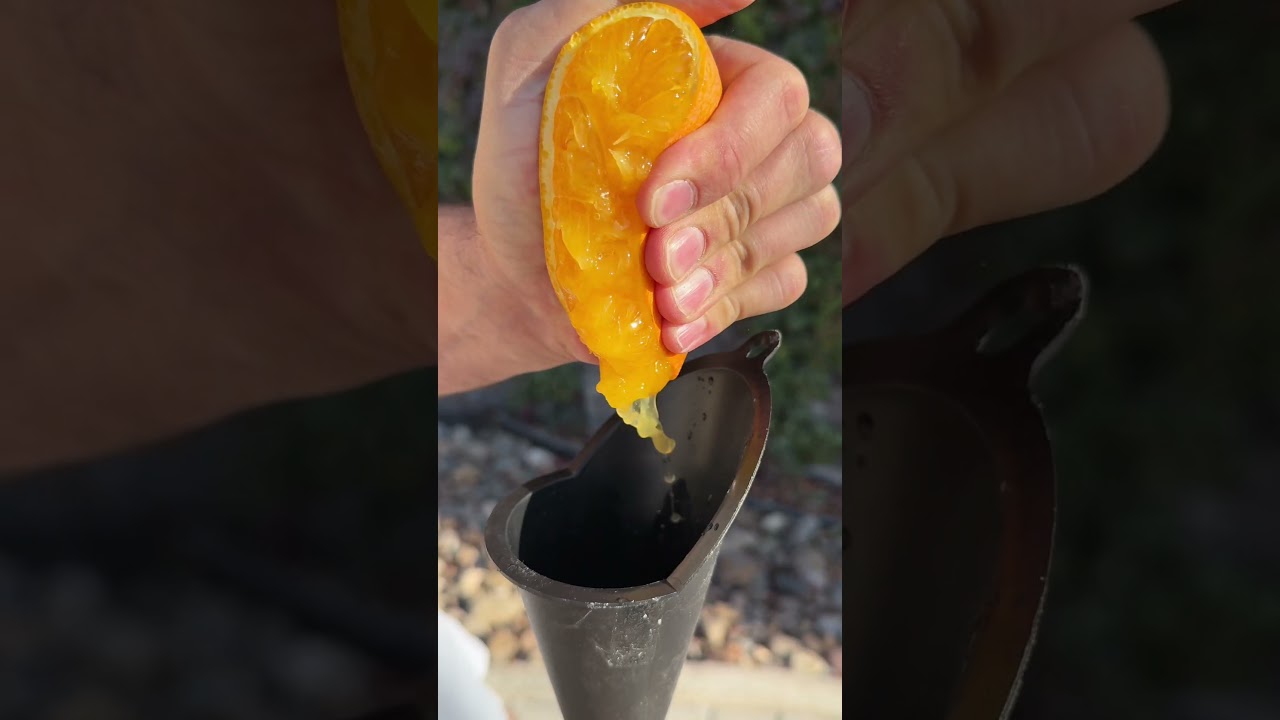 Hidromiel SALVAJE 🍯 parte 1.