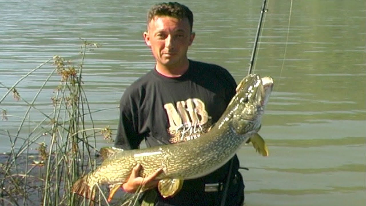 Zvorničko jezero | Pecanje deverike | Varaličarenje | Fsihinig big pike