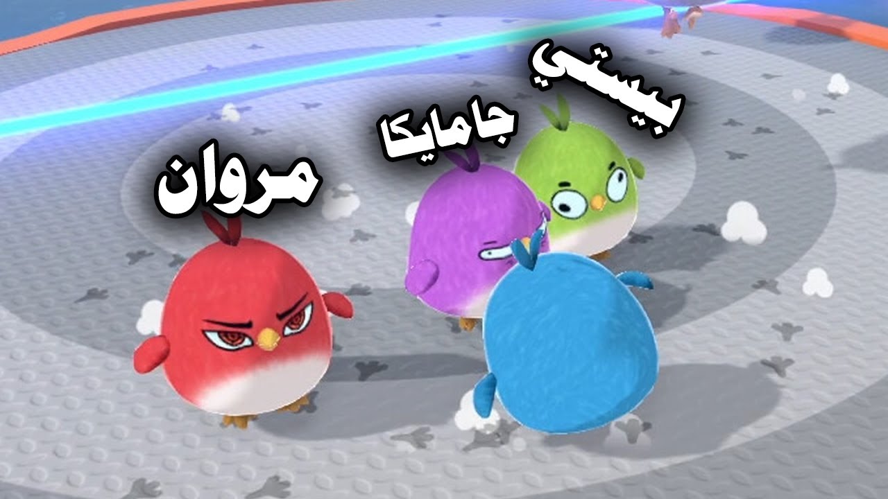 معركة الكتاكيت مع مروان و جامايكا و توفي | Feather Party