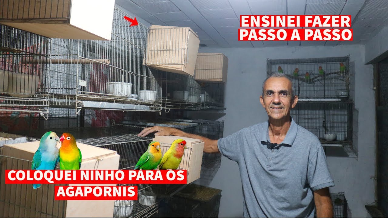 ENSINEI FAZER E COLOQUEI NINHO PARA OS AGAPORNIS I COMO FAZER NINHO