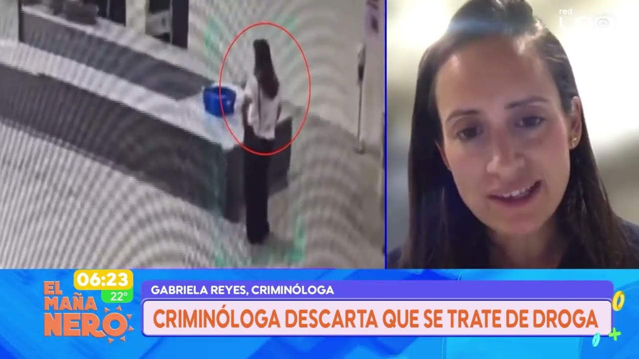 CASO MALETAS: Crimin&oacute;loga descarta que se trate de sustancias controladas