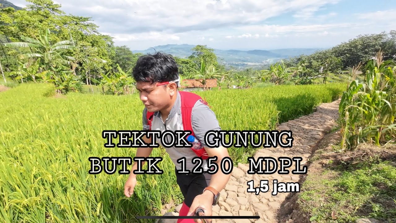 TEKTOK GUNUNG BUTIK 1250 MDPL ‼️ INDAH BANGET PEMANDANGAN🥹 -PART 1 #hiking #pendaki
