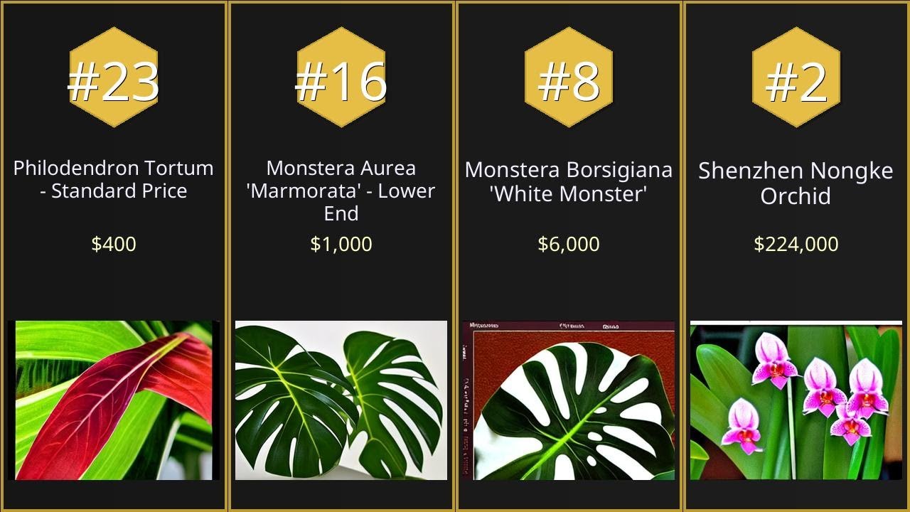 【Top 23】Most expensive plants by auction price【Searched in 2025】